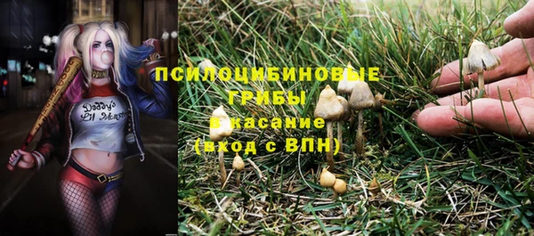 каннабис Алексеевка